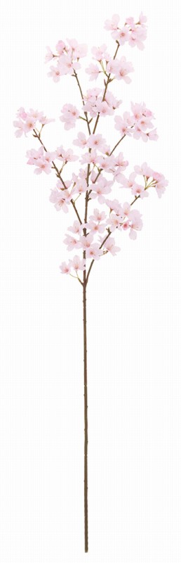 プレミアム姫桜（ライトピンク）（商品詳細）| 株式会社ドガ