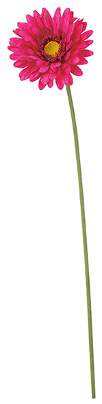 FLS-5327_BEA.jpg