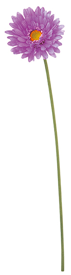 FLS-5327_LV.jpg