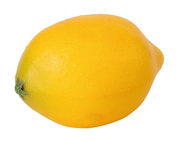 レモン（*）（商品詳細）| 株式会社ドガ